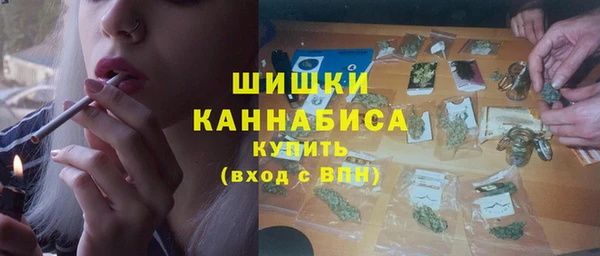 СК Протвино