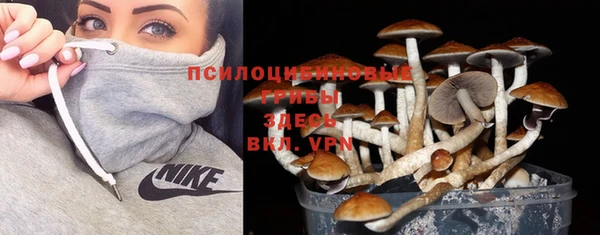 СК Протвино